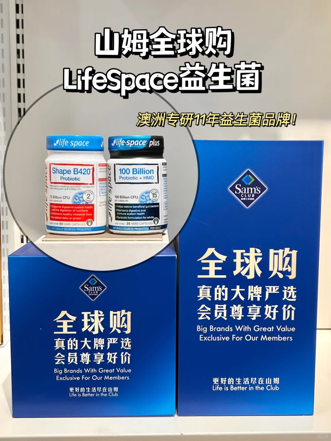 山姆囤🛒脆皮打工人调理肠胃的“天菜益生菌”
