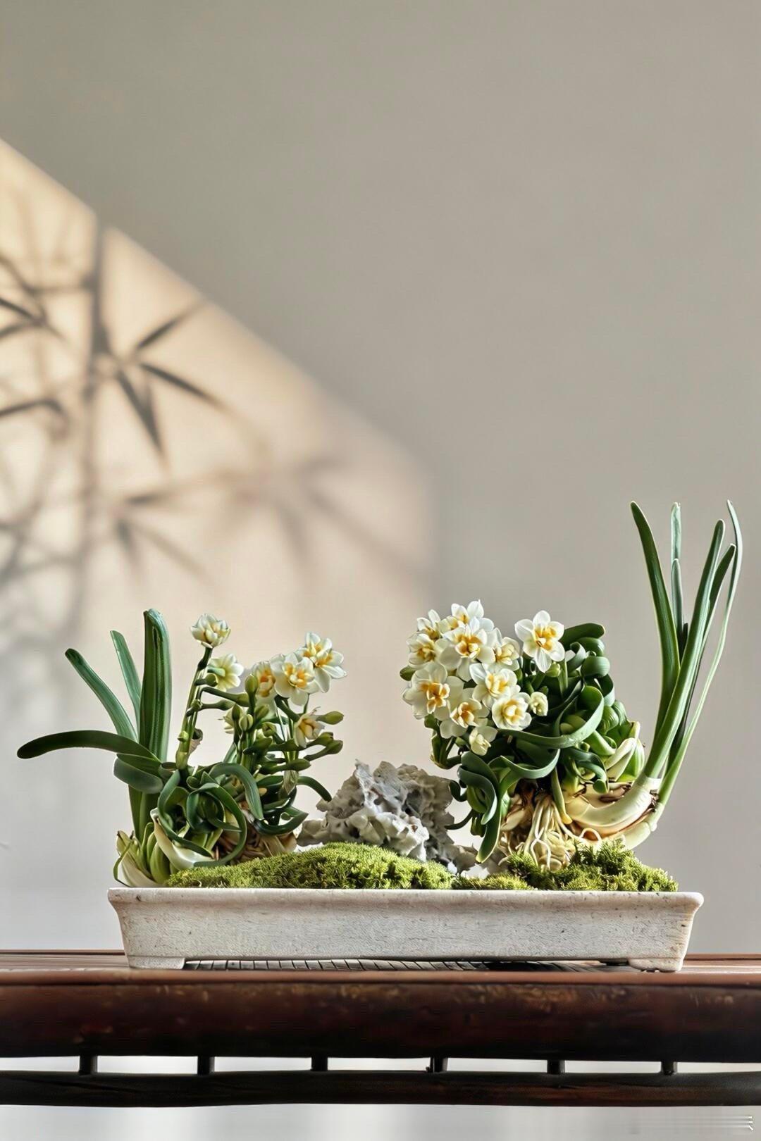 把水仙花雕刻成花孔雀中国手艺人把花养成山水画第一次见被雕成山水画的水仙，根须像小