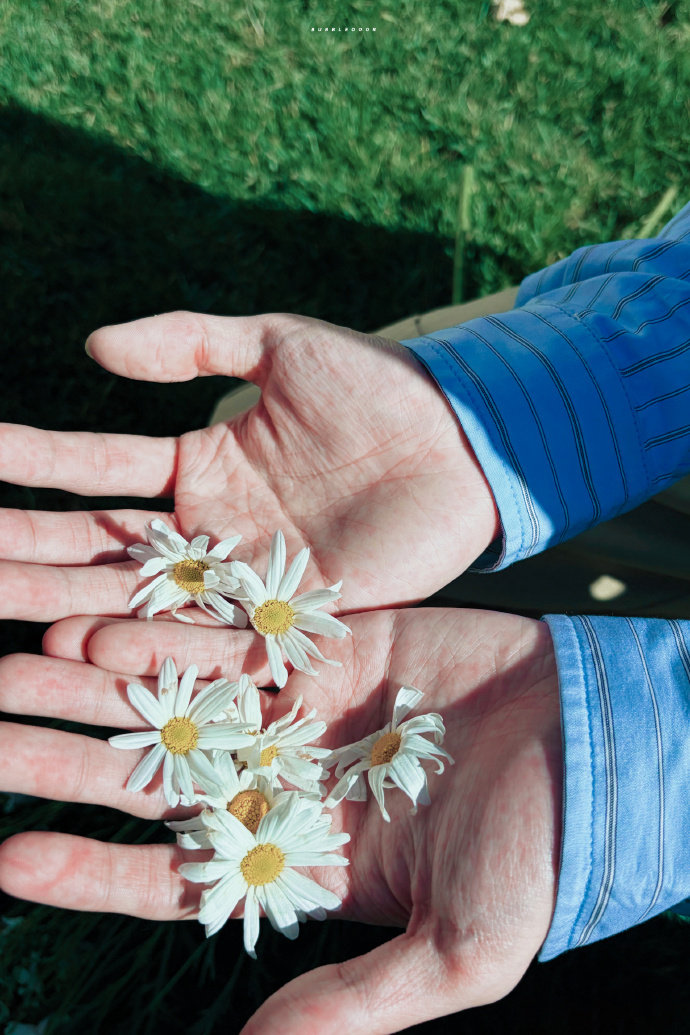 马嘉祺嗓音古偶适配度 马嘉祺ost出现在情愫流动中 马嘉祺嗓音古偶适配度，马嘉祺