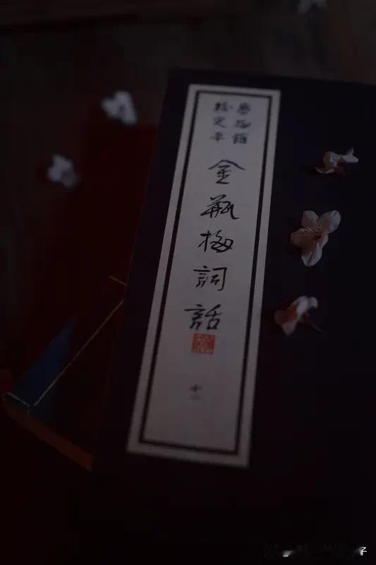 今天读到的金句 今天读到好多超有感触的金句。“人生不是轨道，是一片旷野”，一下就