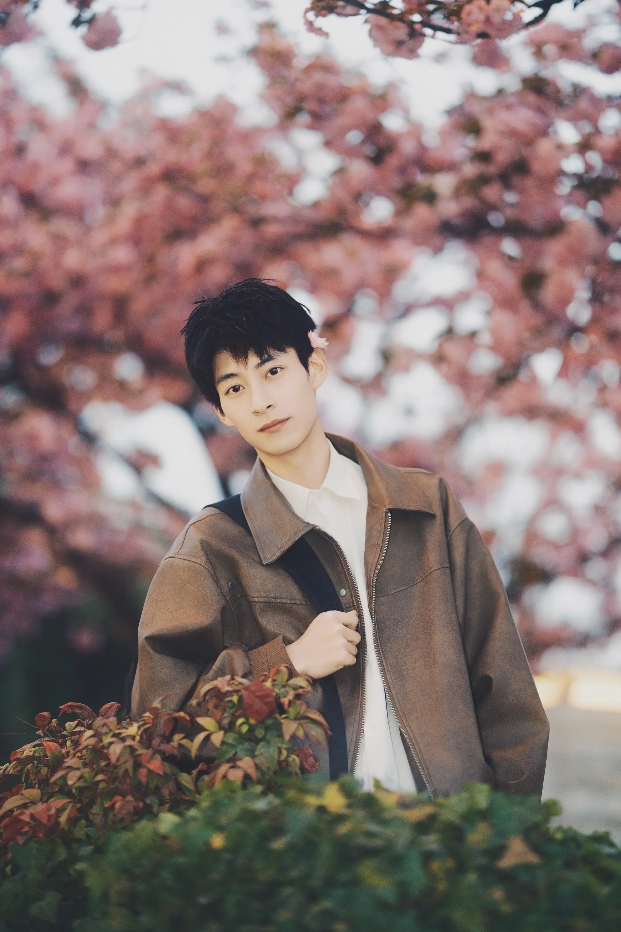 是你的欧巴么？