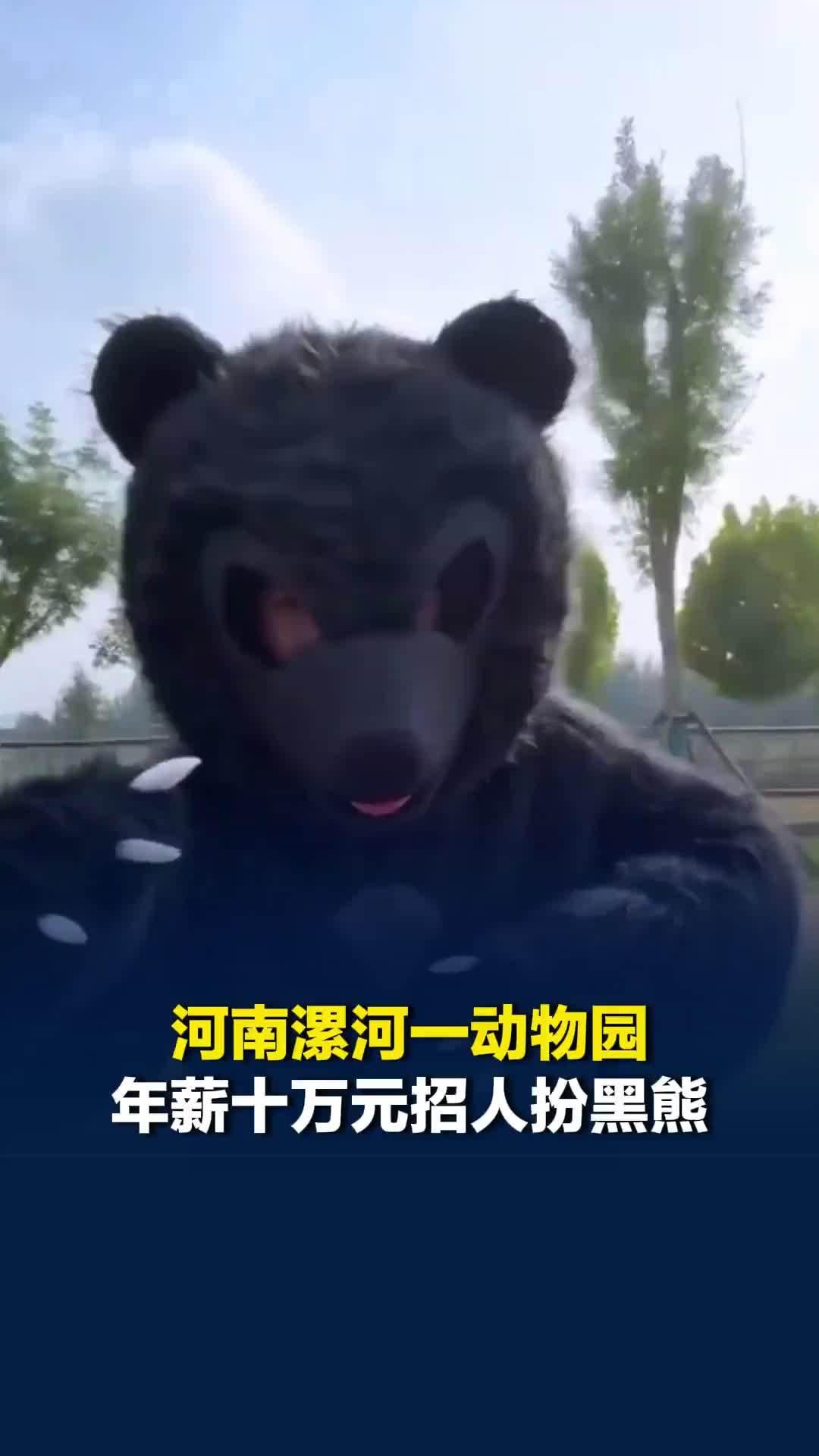年薪10万当“哑巴黑熊”！这个爆火的神仙岗位，藏着当代打工人最戳心的真相
最近河