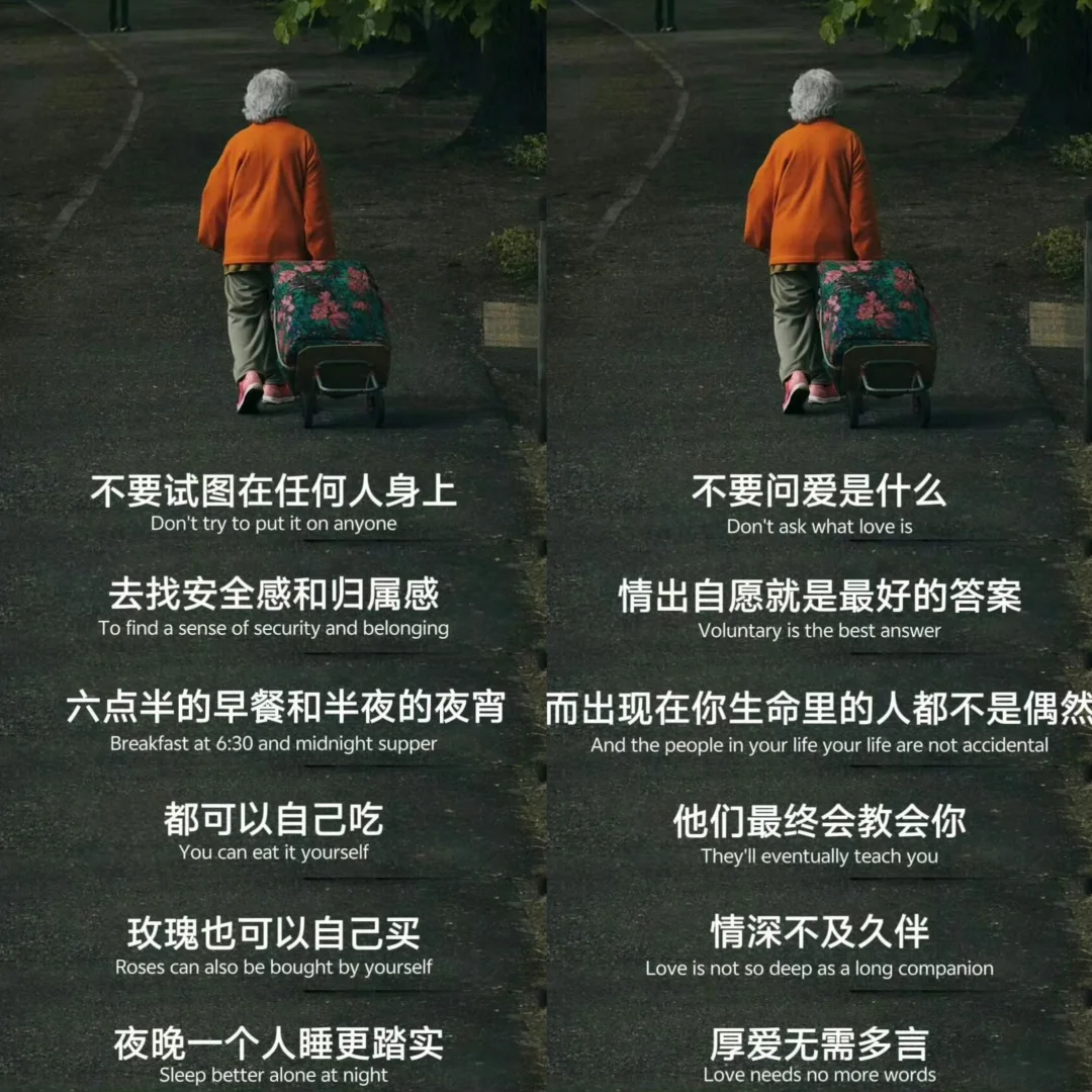 成年人最大的通透，是允许一切发生