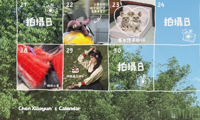陈小云做的电子手账好精致 电子手账也能这么精致！陈小云的日常记录太有氛围感了，是