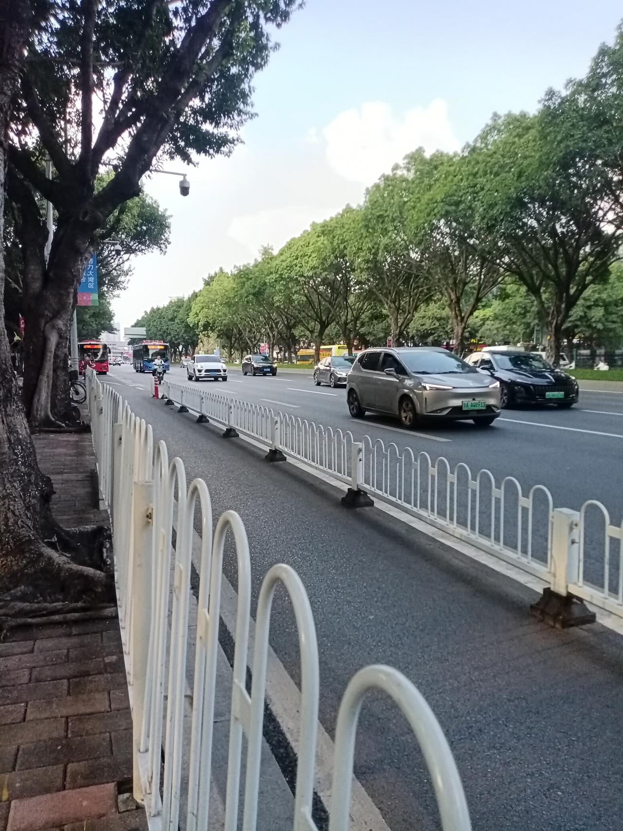广州海珠区广州大道南主干道，车流量超级大，每天都是这么多车，双向十车道的主干道，