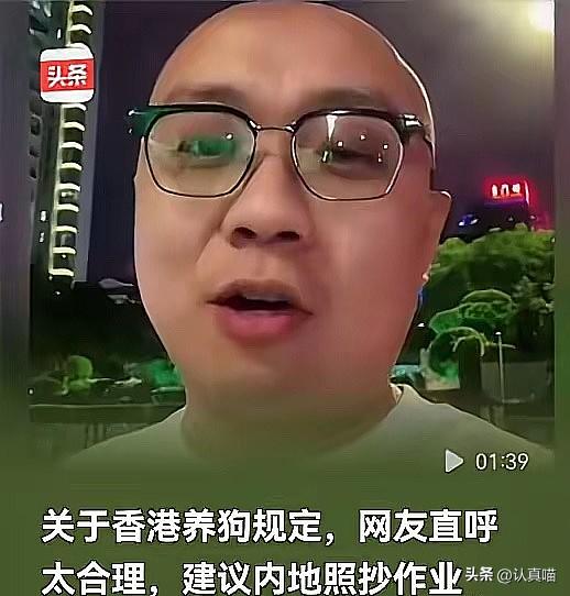 终于明白为啥全网都在喊，要直接抄香港的养狗作业！这套规矩不讲情面、不玩模糊，养狗