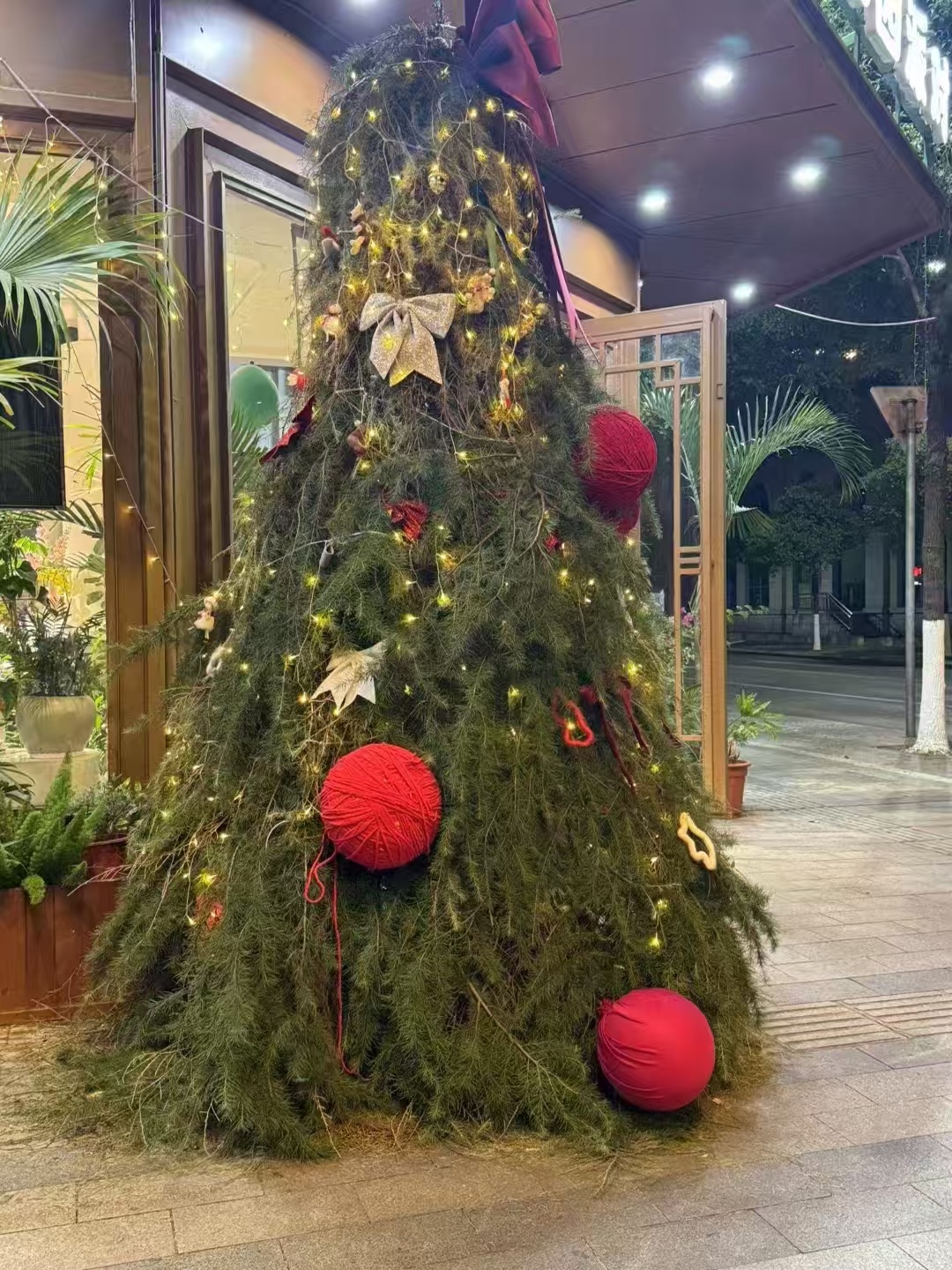 圣诞快乐🎄 
