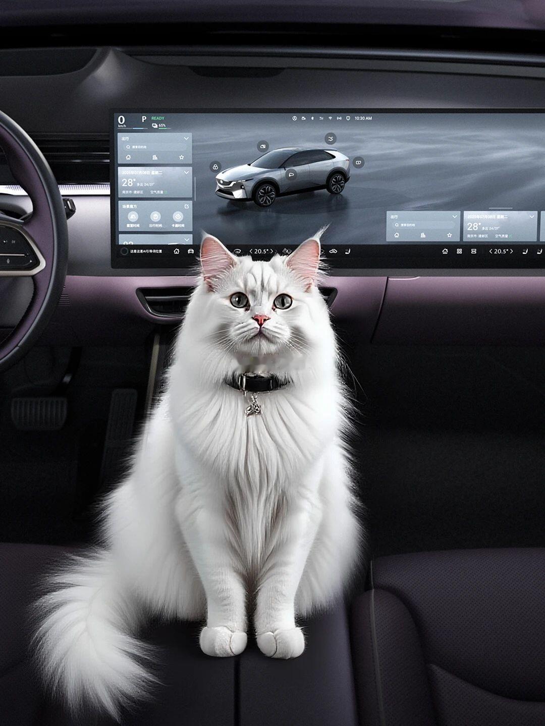 2025年9月26日，马自达（MAZDA）品牌旗下全新力作——MAZDA EZ-