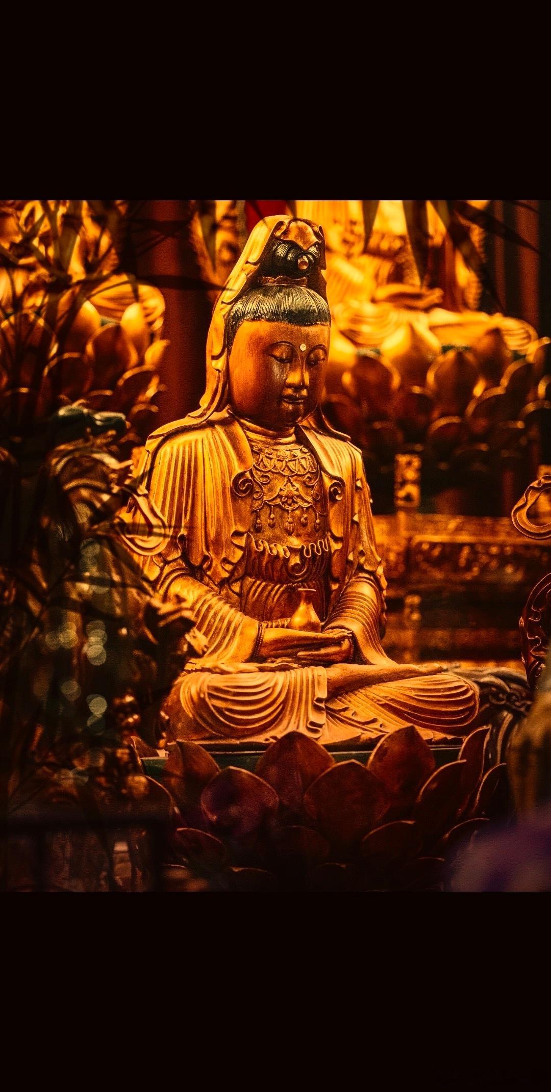 佛说过，如果心地不善良，就算拜再多的佛也毫无意义。人生真正的财富，并不是你口袋里