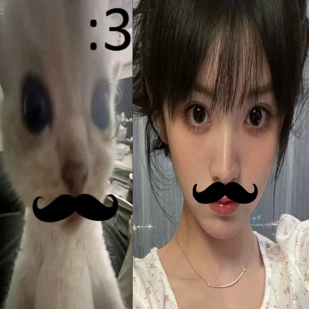 审萌积累！ ​​​