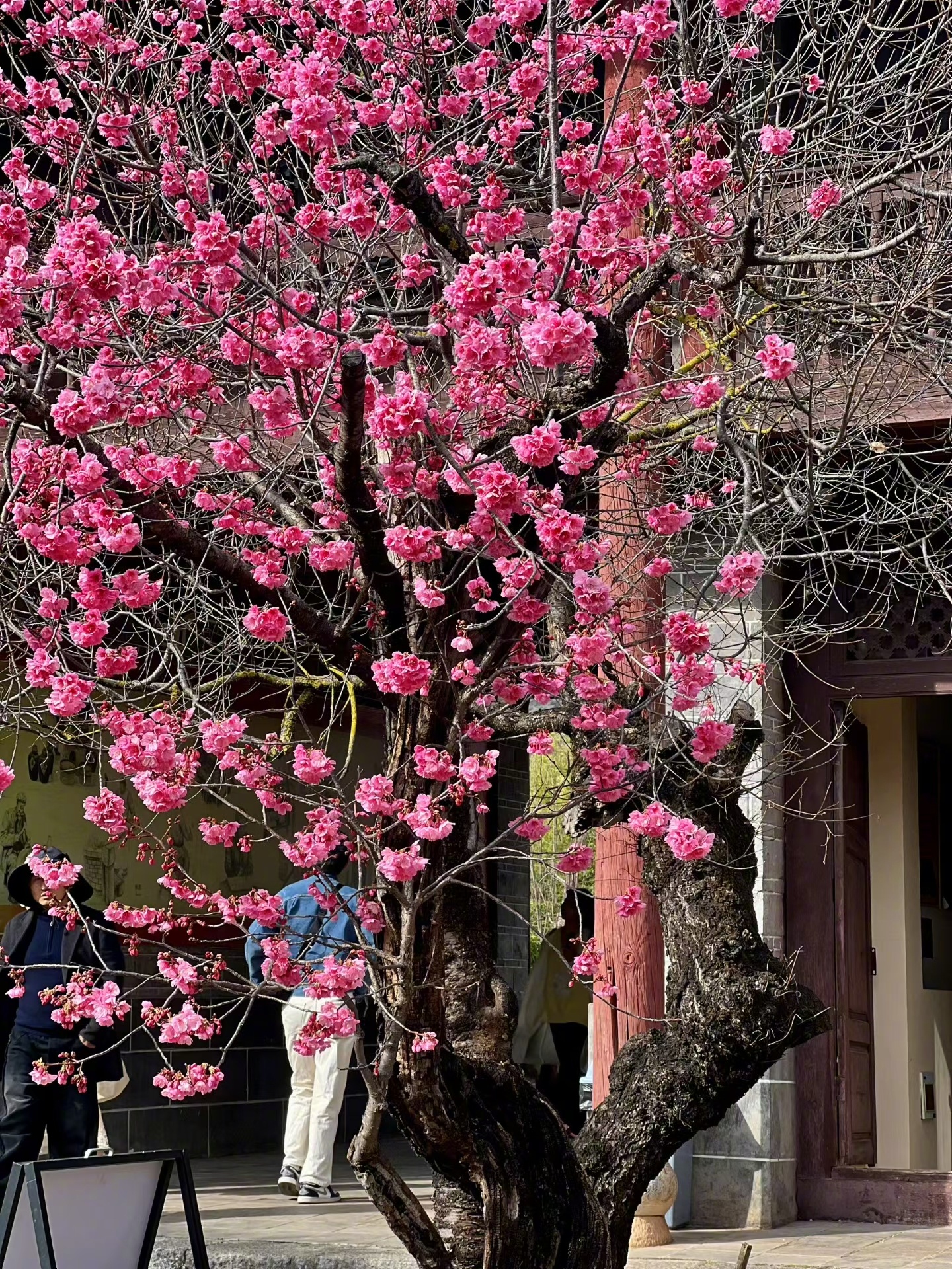 任何时候，心情若不是美美的，都是对生命的辜负。 ———《半山文集》 
