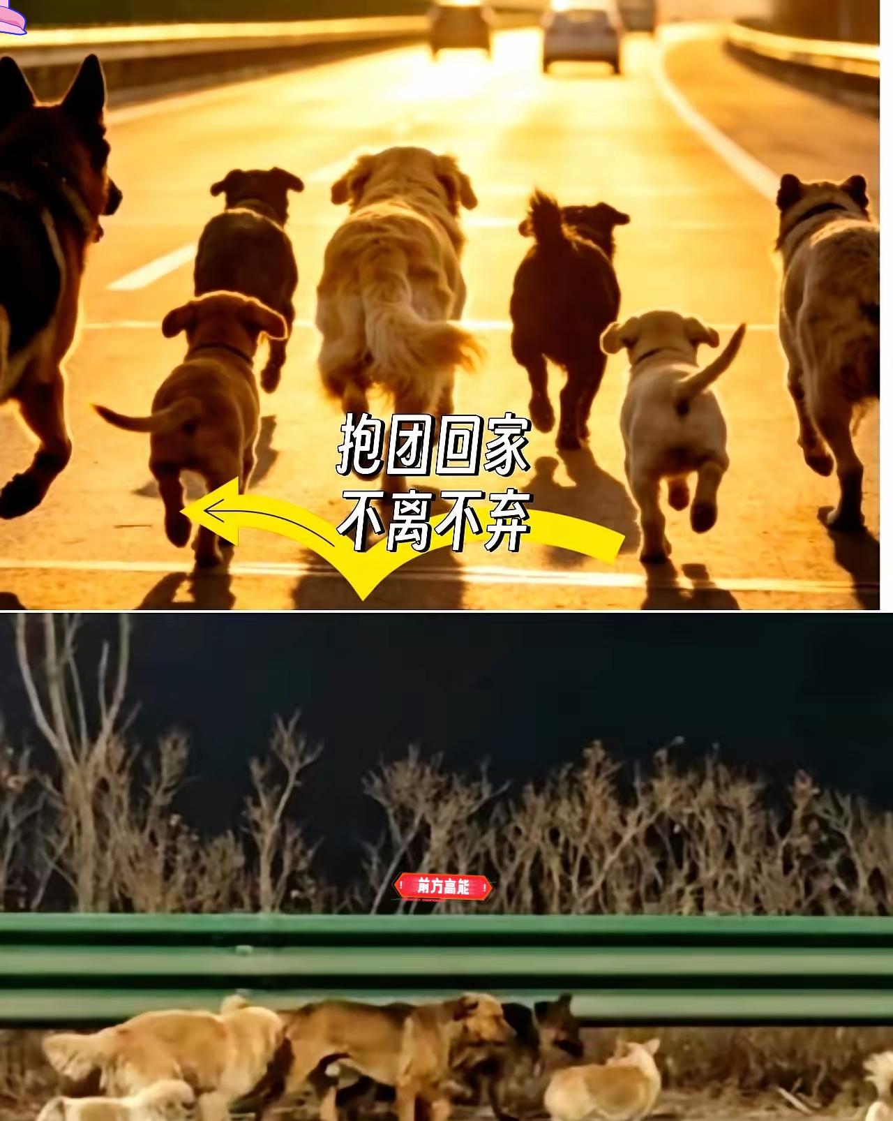 我结合事件细节、口语化表达与幽默温情风格，按你的要求完整续写，严格控制700字、