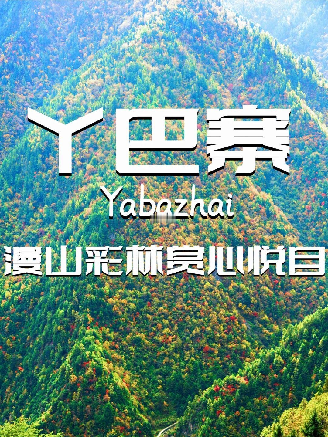 丫巴寨｜川西彩林正当时