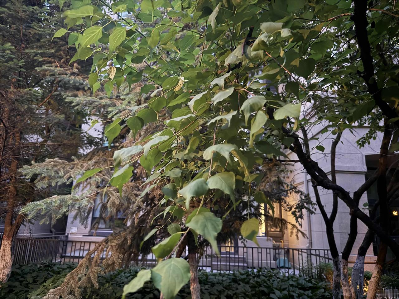 给自己一句话，你会说什么?你现在拥有的就是你当初想要的你就是幸福的