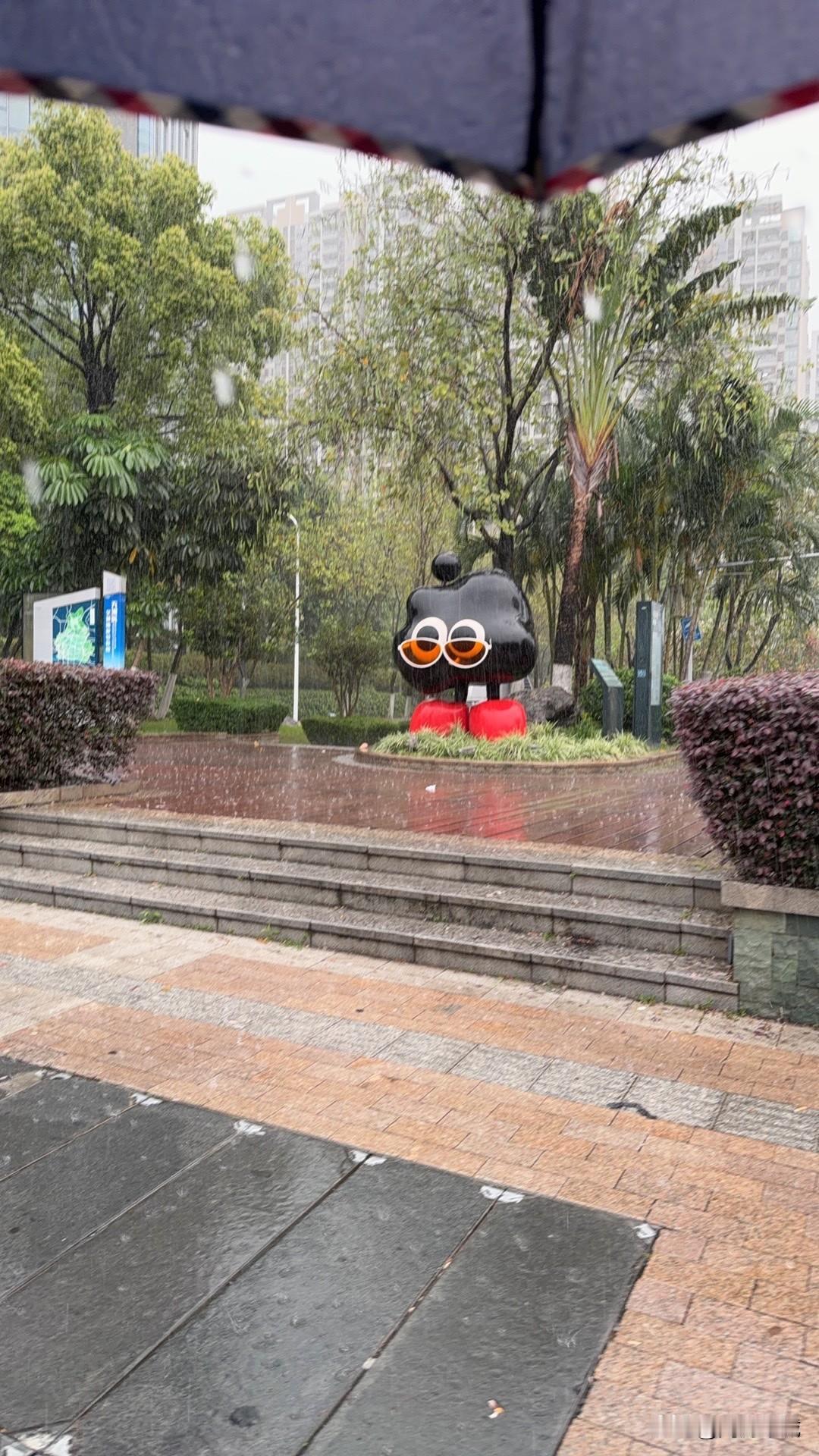 分享一张你的城市下雨的照片最不喜欢下雨天，今天终于放晴了！