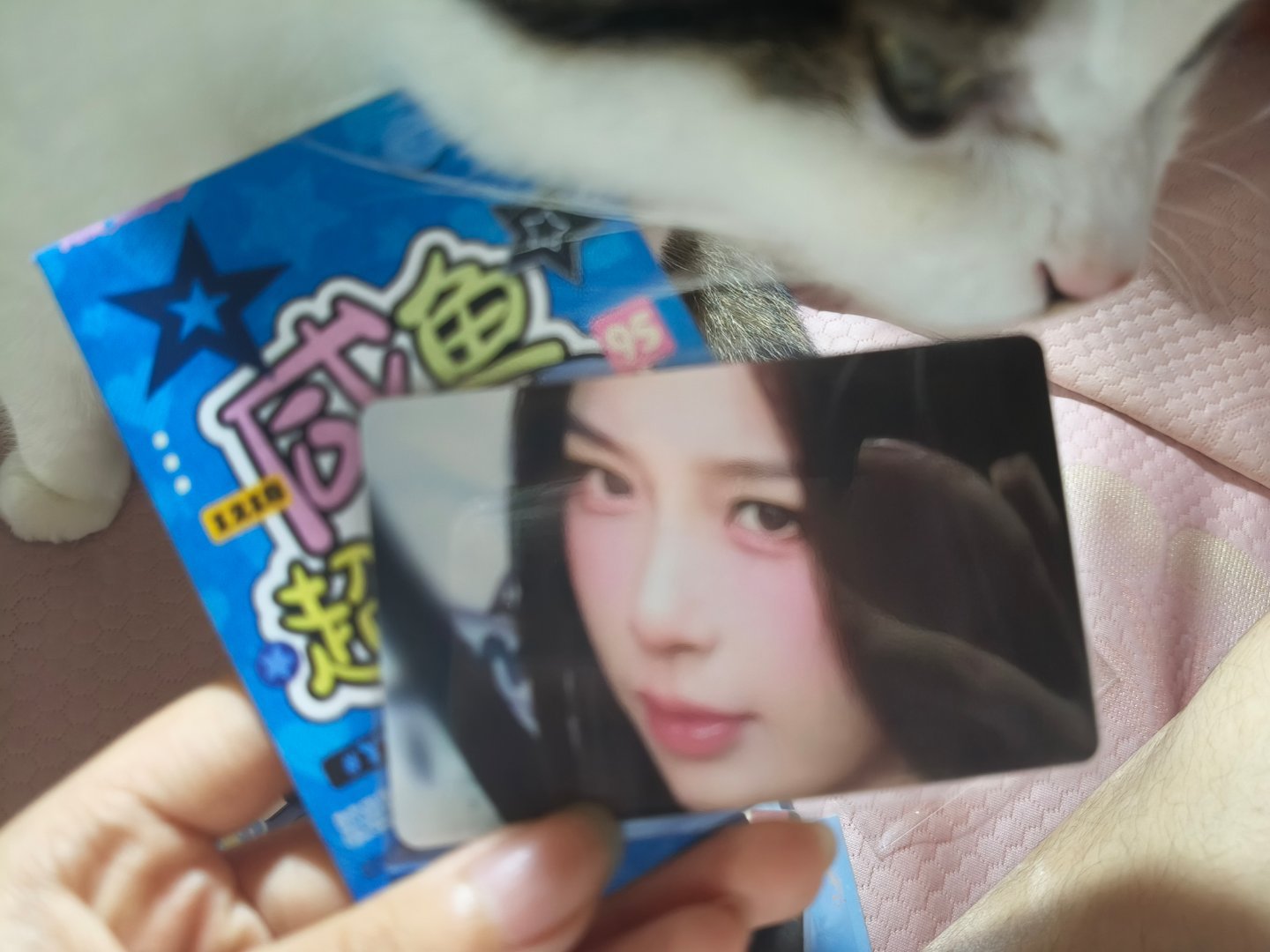 现在才拆开糖站开机那天发的卡
