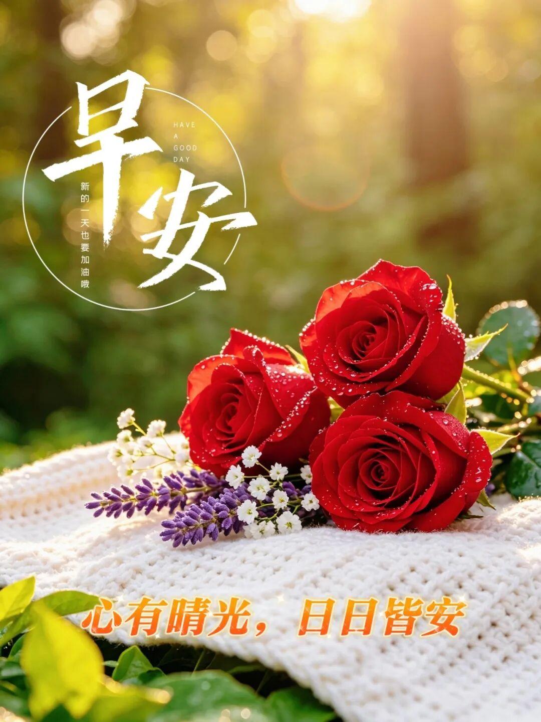 氛围感早安无水印美图合集｜日常问候一键取用，开启美好一天