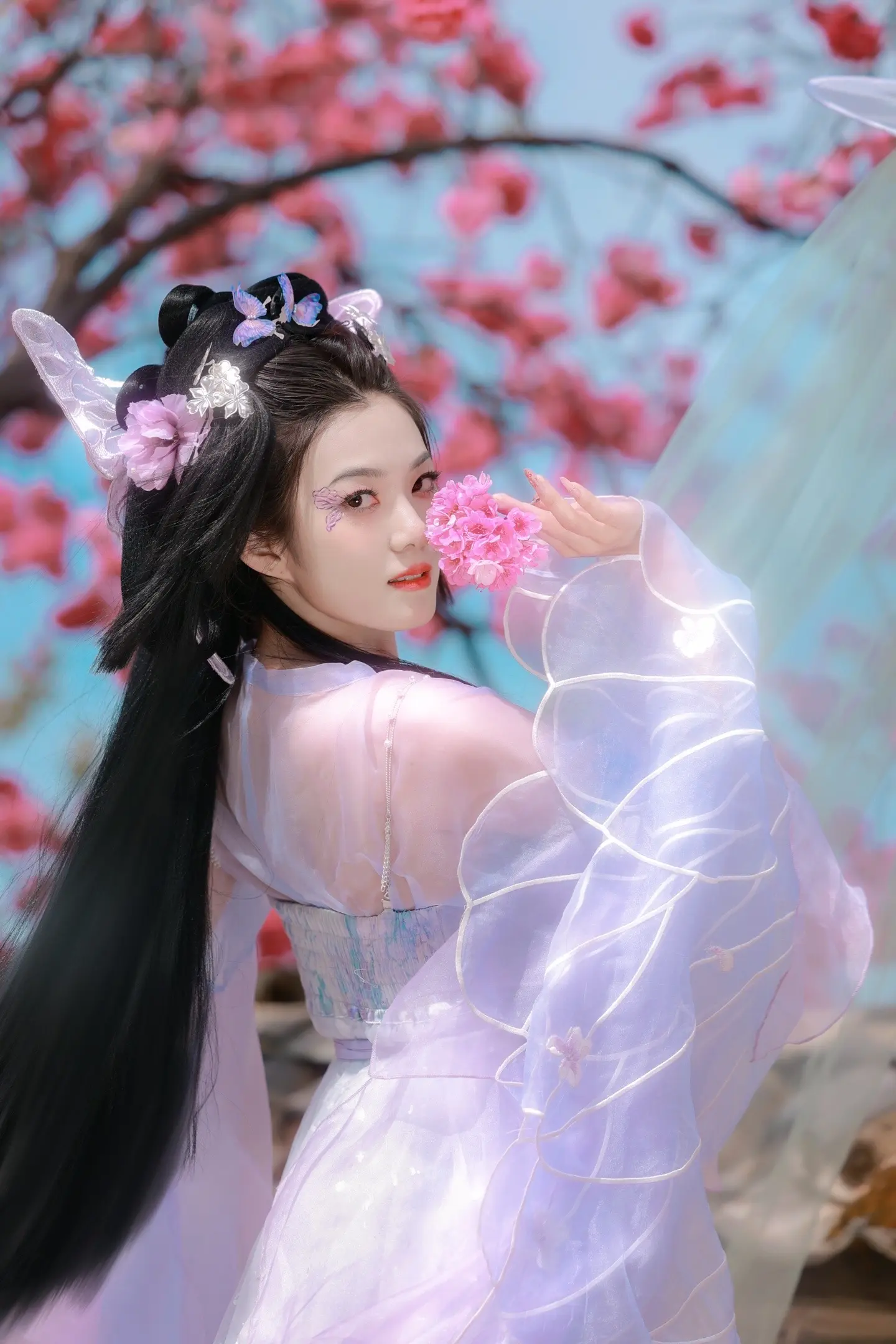 蝴蝶不肯忘却相思『客』。