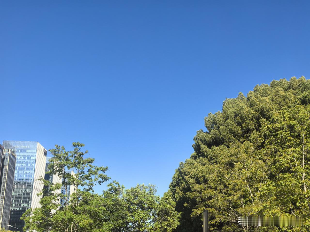 什么颜色最防晒

夏天穿什么颜色最防晒？一般都认为是白色最凉快，黑色最热，结果科