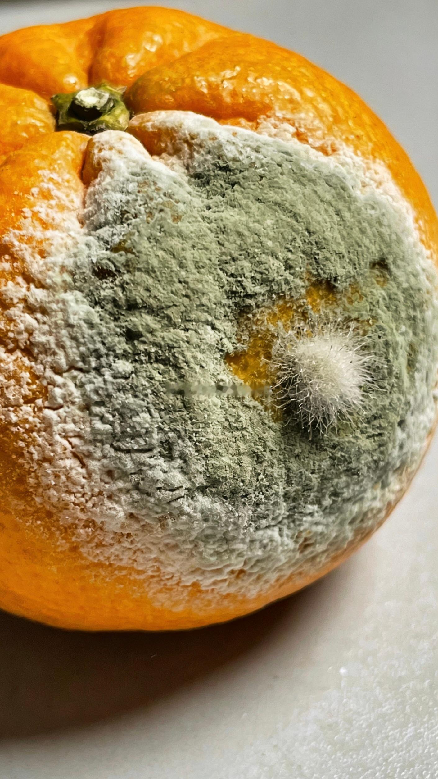 男性健康必修课为什么HPV是男性健康刺客❄️冬奥赛场上，运动员们以极致的体魄和坚