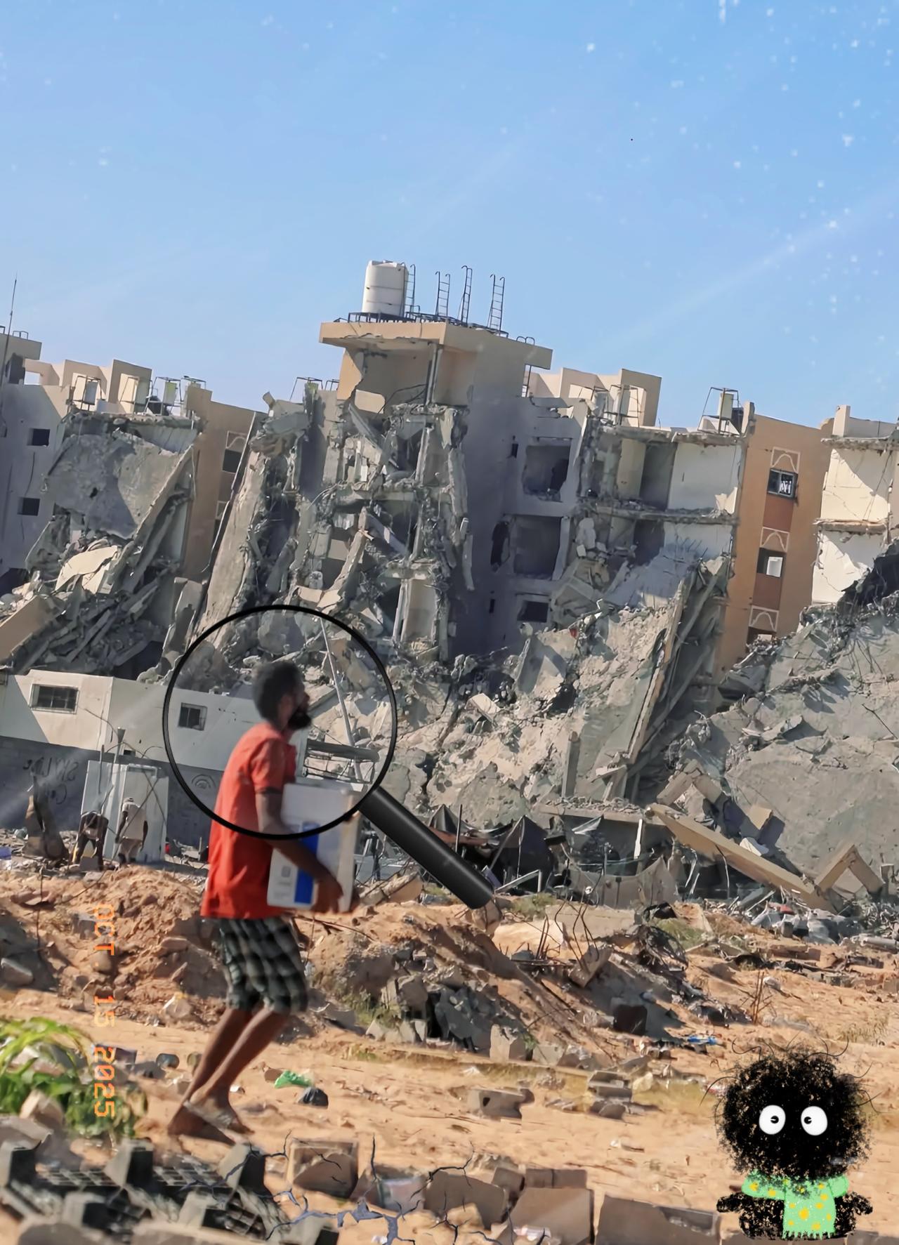 谁能想到啊
巴勒斯坦这民族啊，是真彻底没救了

以色列和哈马斯好不容易谈妥的停火