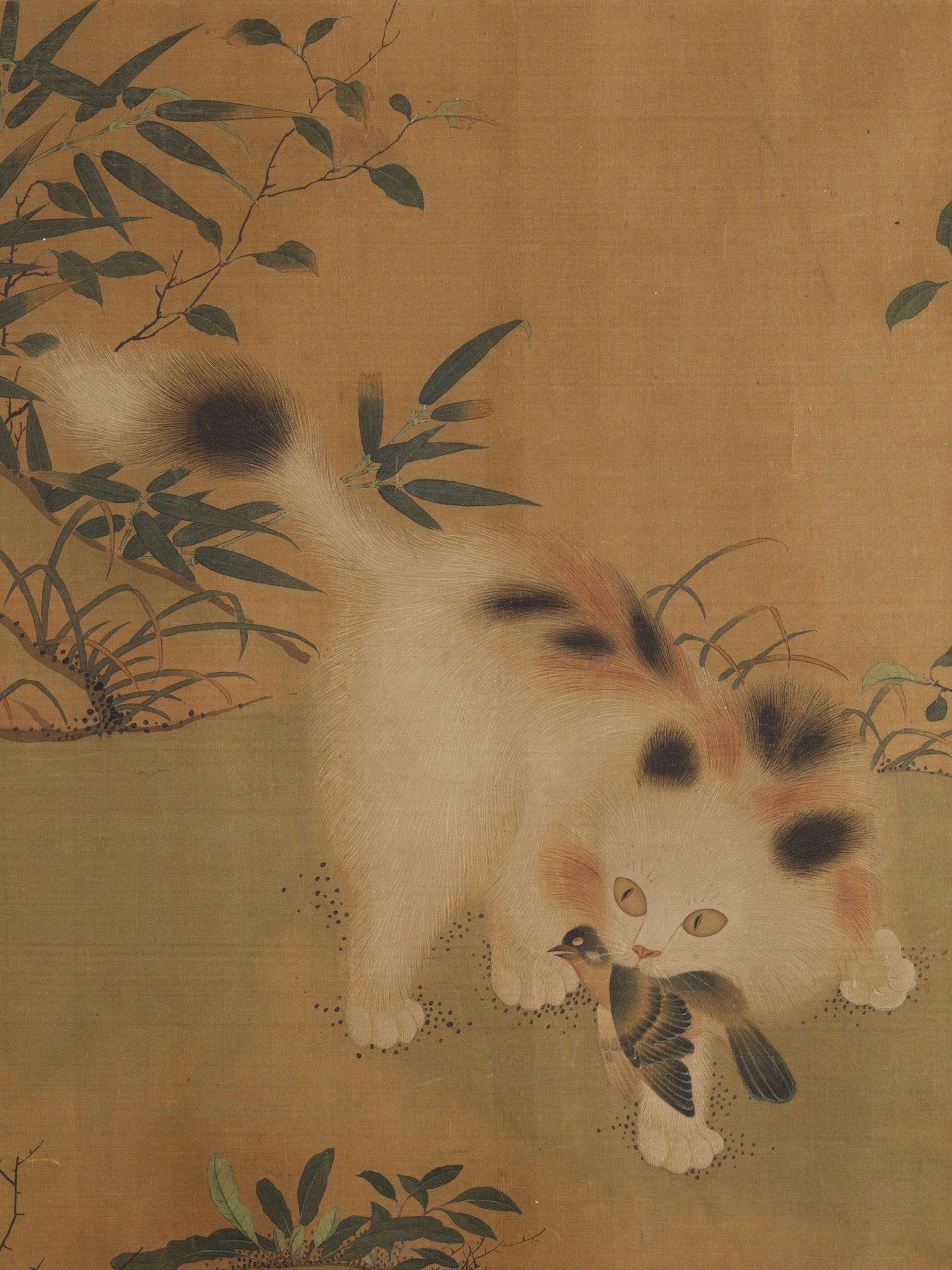 御前狸影｜一卷跨越三百年游春图。🌊溪柴火软蛮毡暖，我与狸奴不出门——...