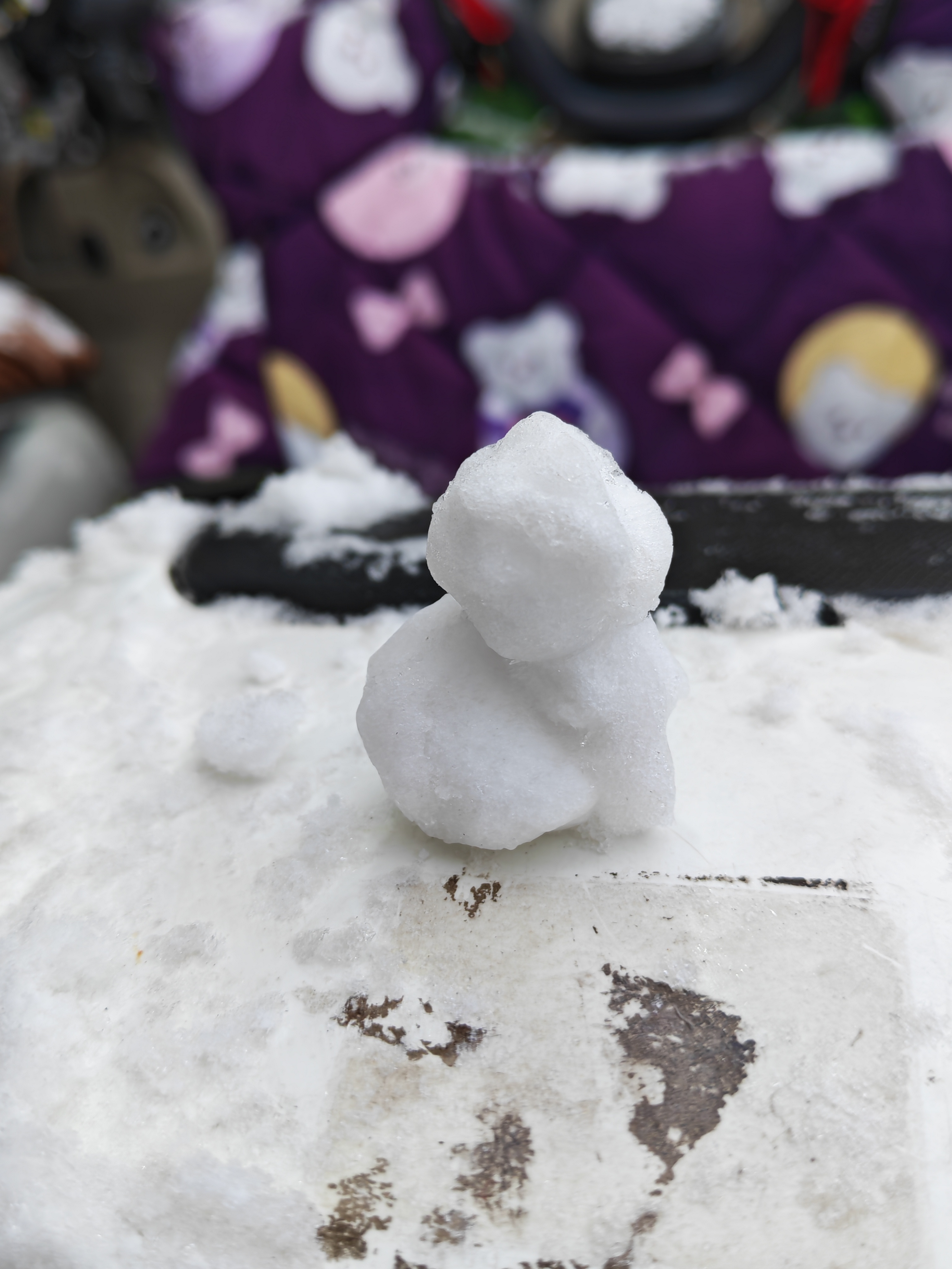 下雪了欸，虽然是小雪粒。 