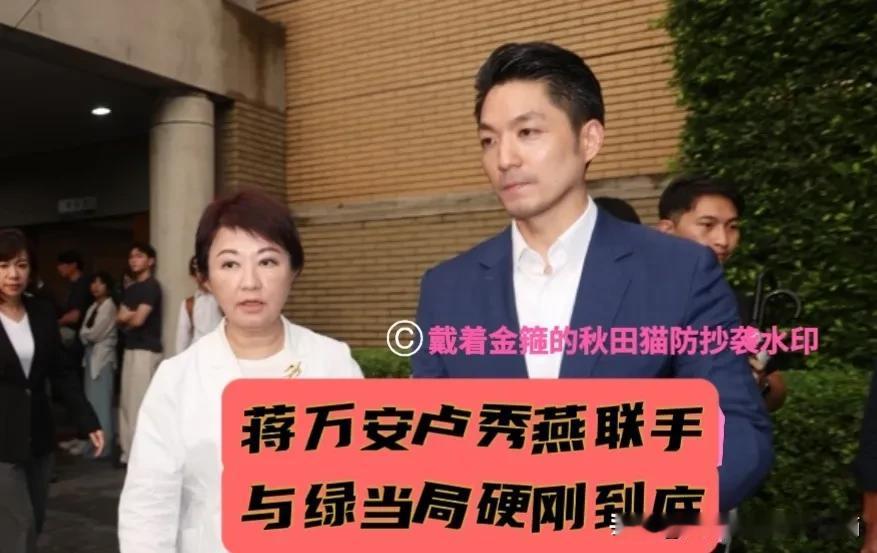 霸气硬刚到底！
蒋万安、卢秀燕紧急更改行程，同赴民意机构、一致要求“问题油品”全