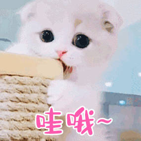 李湘全平台账号被禁止关注追求个人享乐主义，脱离那啥观，拜金，解释得够通透了吧 