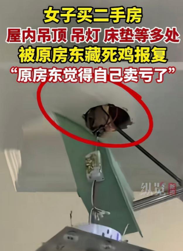 “玩不起！” 安徽合肥，一女子在中介买了套二手房，合同白纸黑字写着 “家电全部留