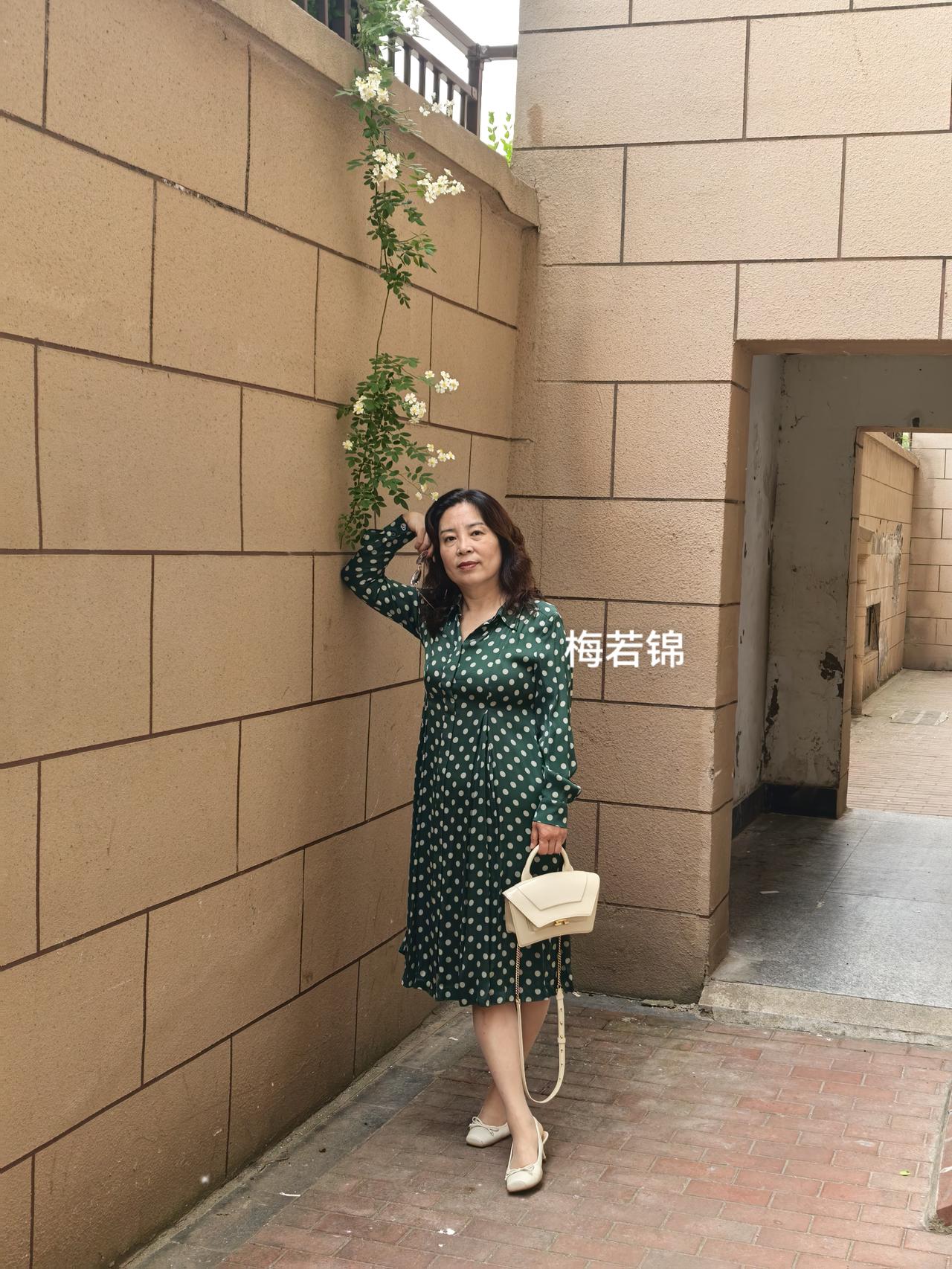 一架蔷薇白花绿叶垂于墙角。梅若锦，着一袭绿底白点的裙子来和蔷薇合影，这搭配和蔷薇