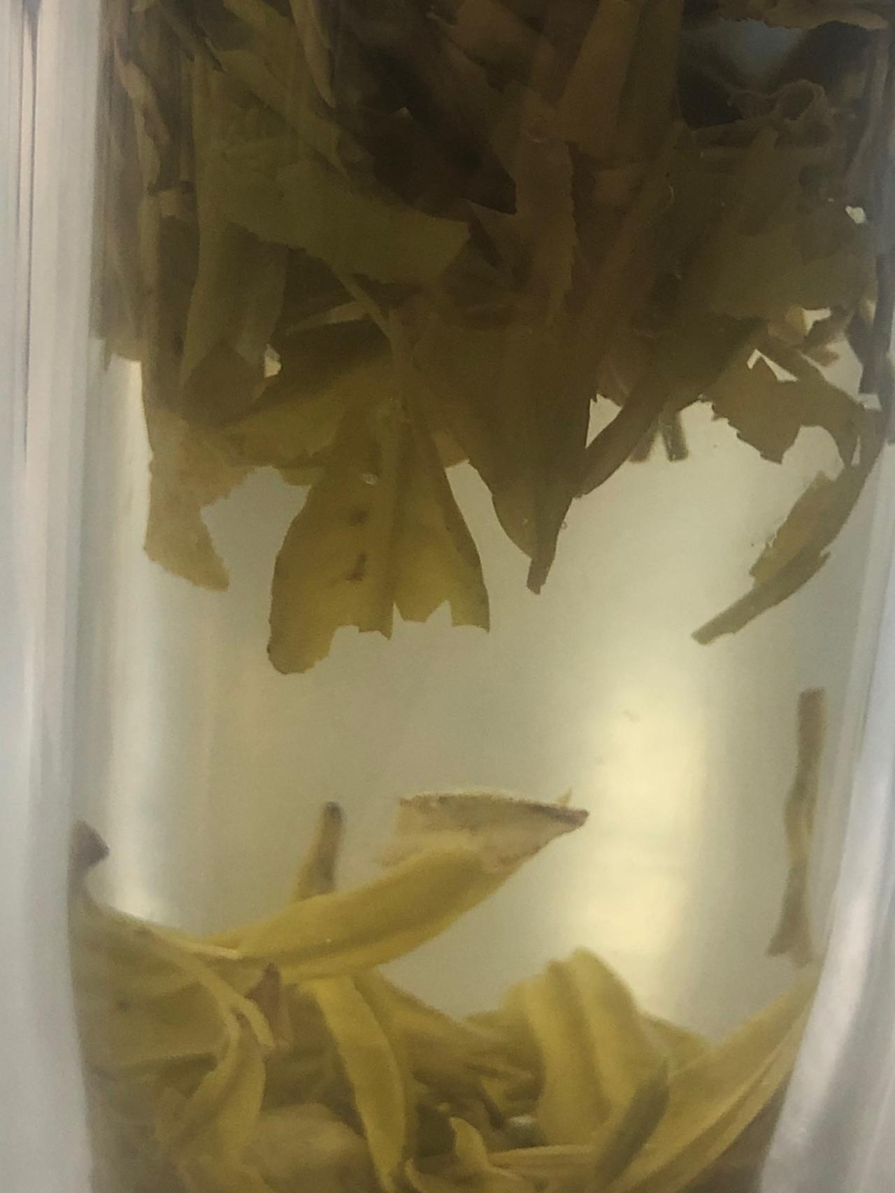 我的今日状态：😁轻松愉快
我这里的天气：☀️晴天