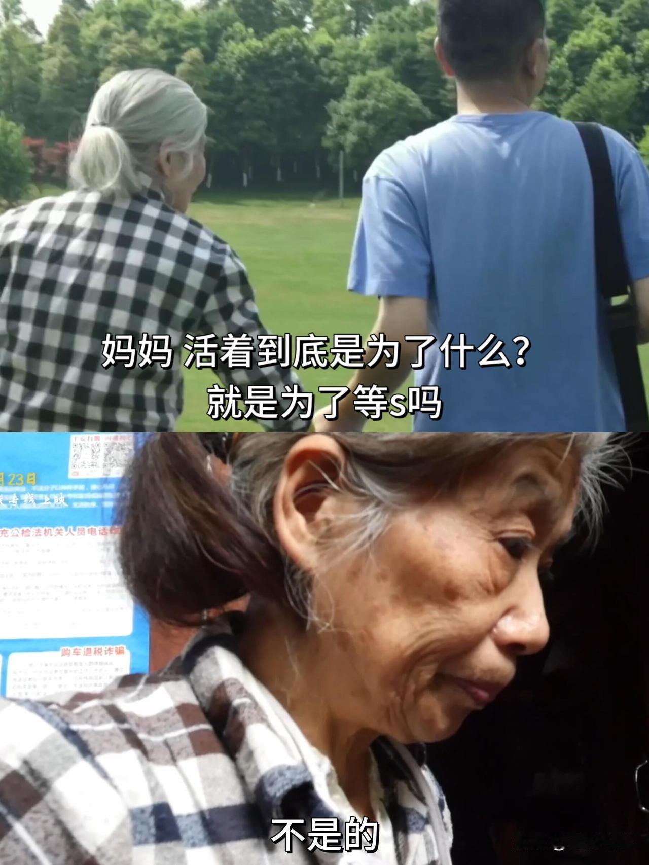 看哭我了——
《胡阿姨的花园》

阿姨叫胡光荣，
这名字真没白取。
天天背个竹筐