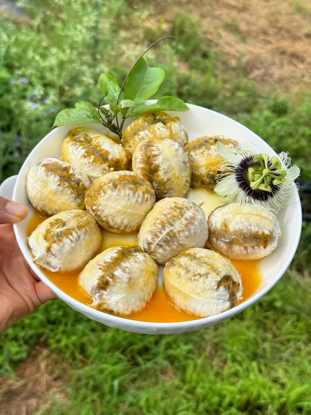 至今没有发现夏天可以平替他的水果！