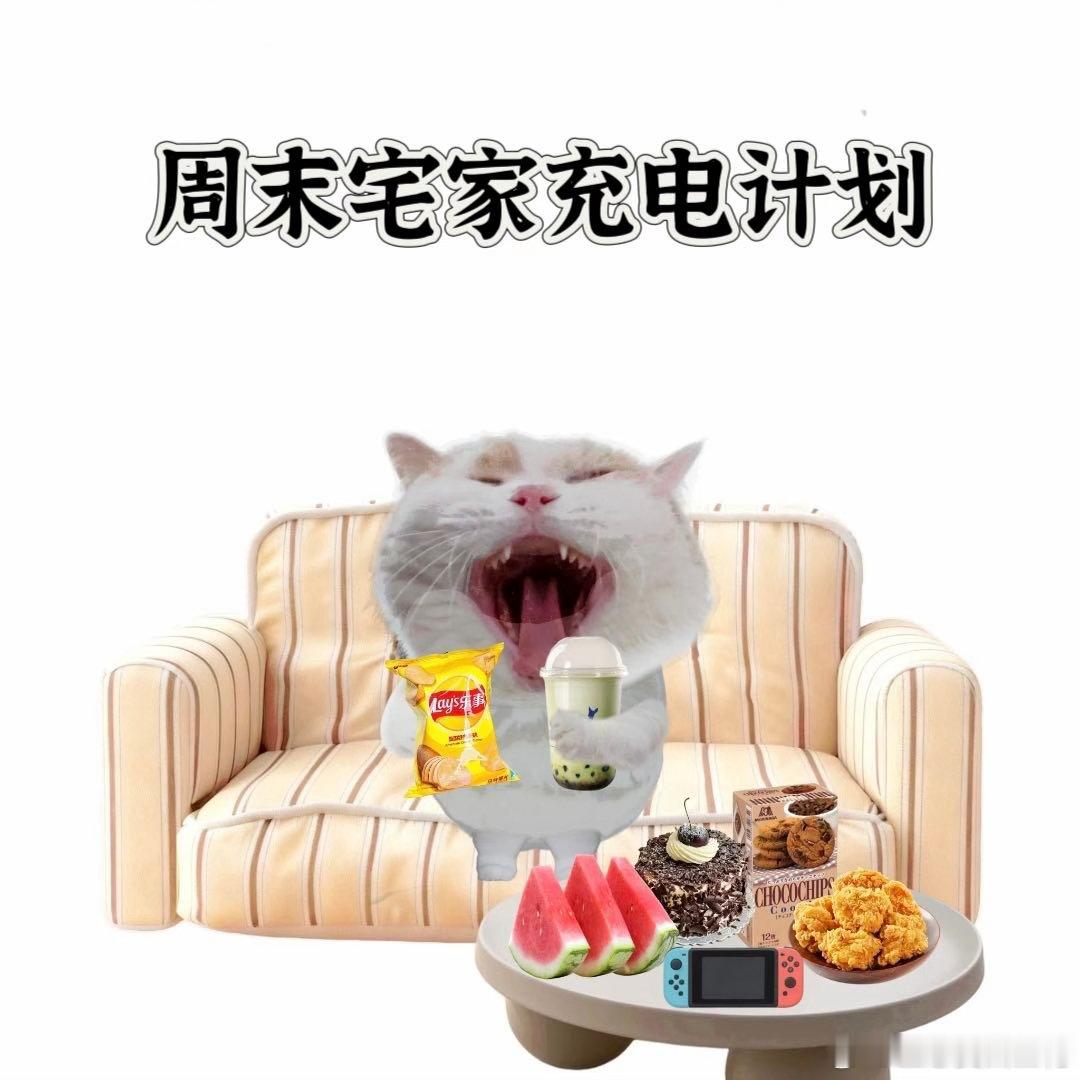 周末计划vs实际周末 规划好要去打卡各种网红小店，出门的念头刚冒出来就被打消，舒