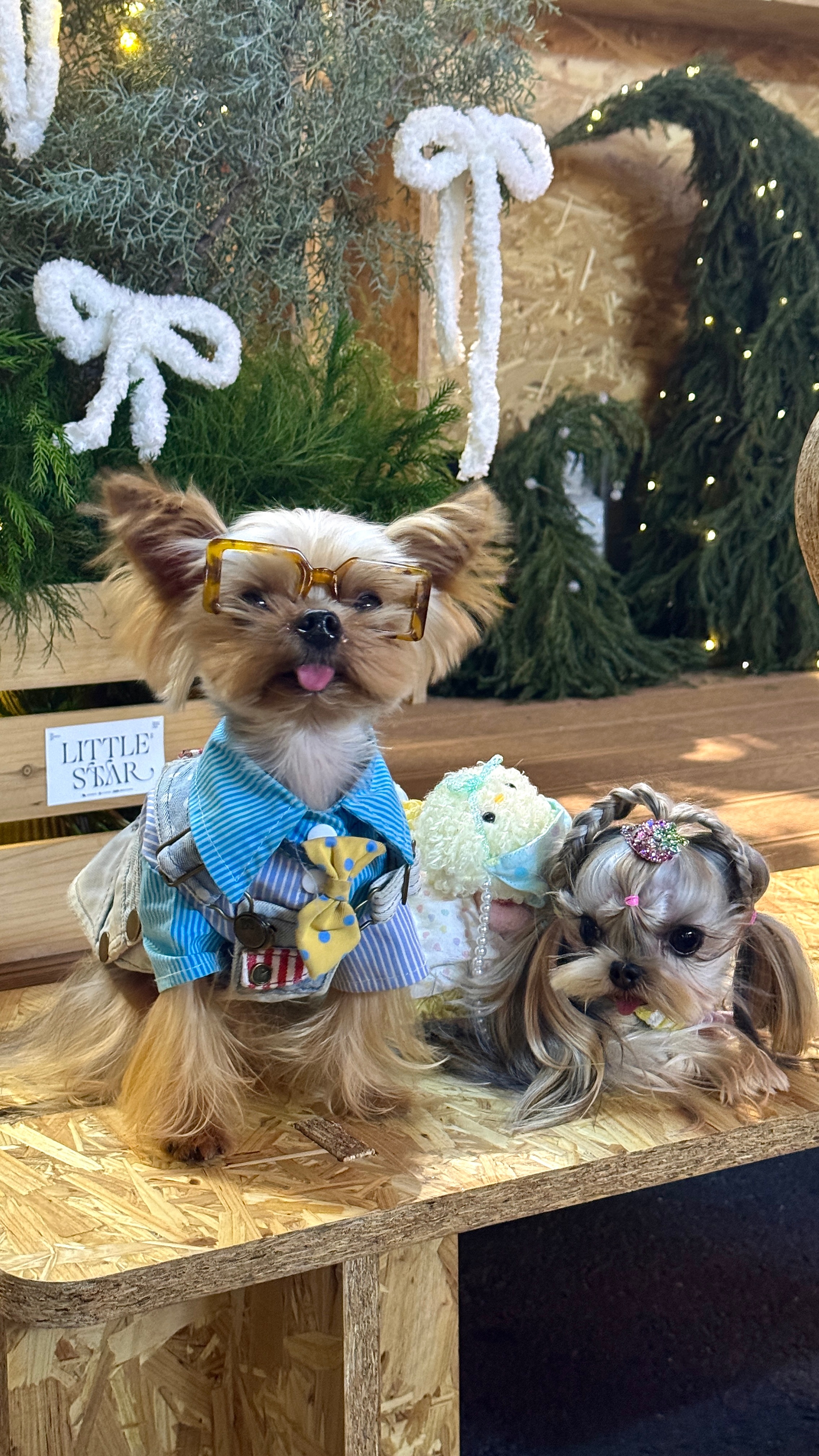 深圳的圣诞氛围太浓郁啦🥰🥰 