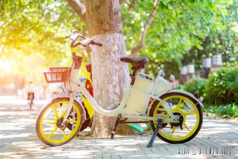 惊！电动自行车一夜涨千元，背后原因揭秘
家人们，最近电动自行车价格飙升，一夜涨了