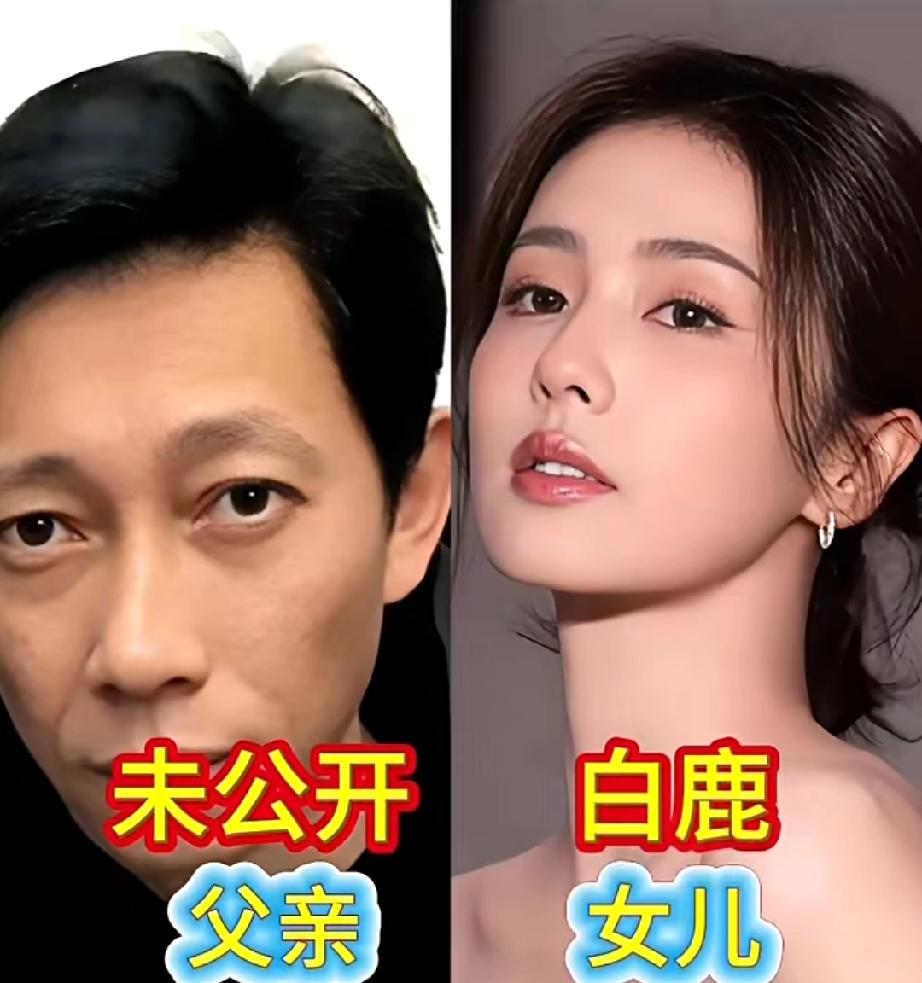 明星父女颜值对比，哪一对父女最像娱乐对比徐璐杨超越陈数白鹿古力娜扎明星父女照 父