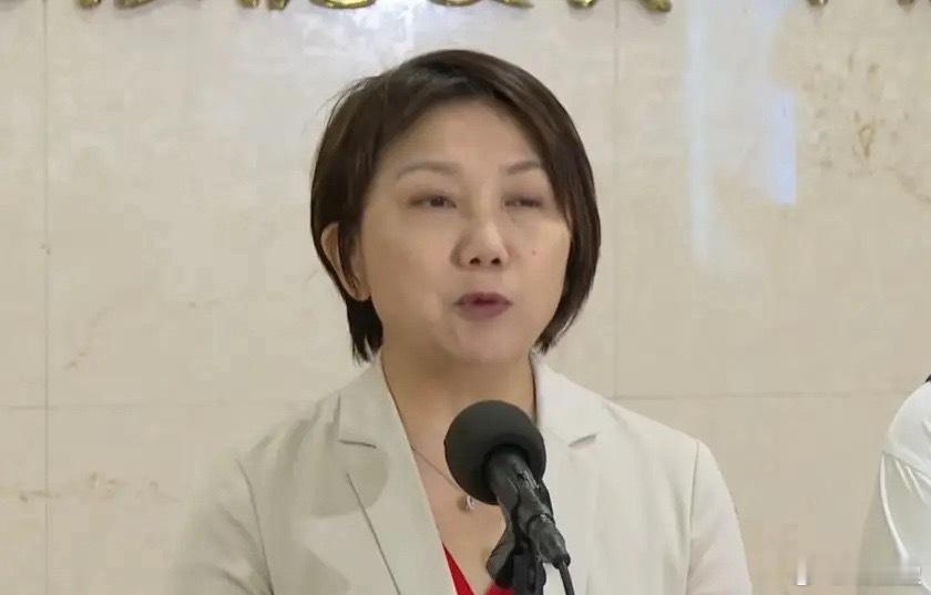 【台媒快讯】国民党主席郑丽文访陆拟申请480万新台币经费，向“台湾民主基金会”提