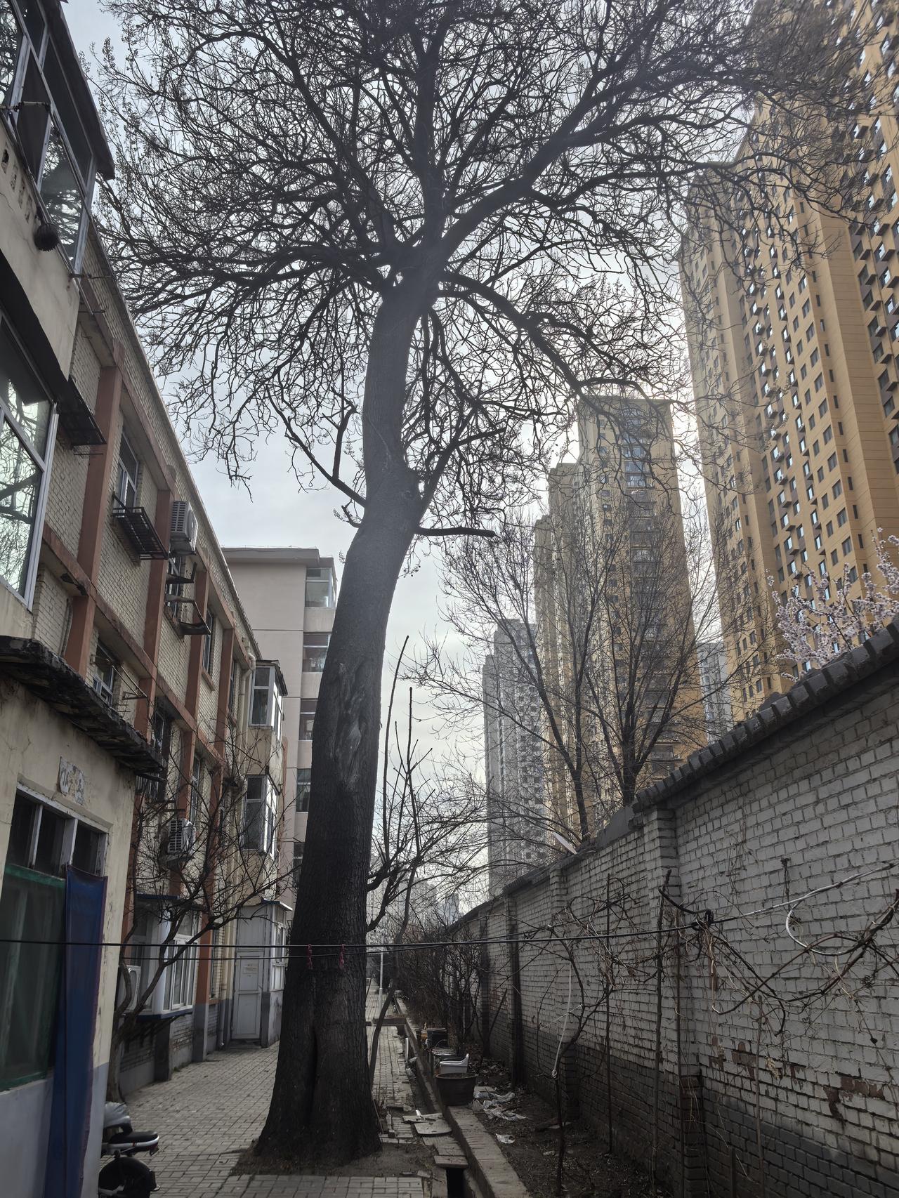 虽然没办法直接晒最美湖面的照片，但我能给你们描述下我心中最美的湖面。之前去喀纳斯