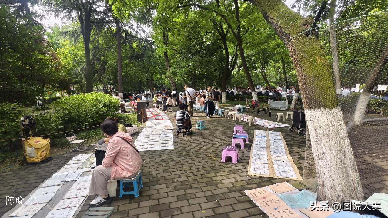 公园征婚靠谱吗？
今天早上到西安革命公园去熘达，发现这里有很多相亲的，有自主相亲