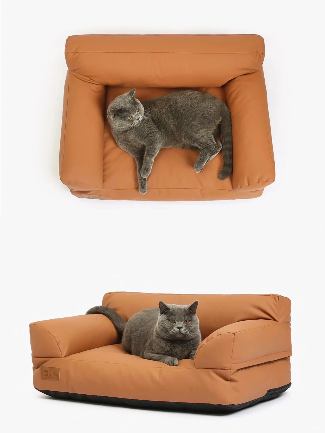 给我家猫安排了一张新沙发😍
