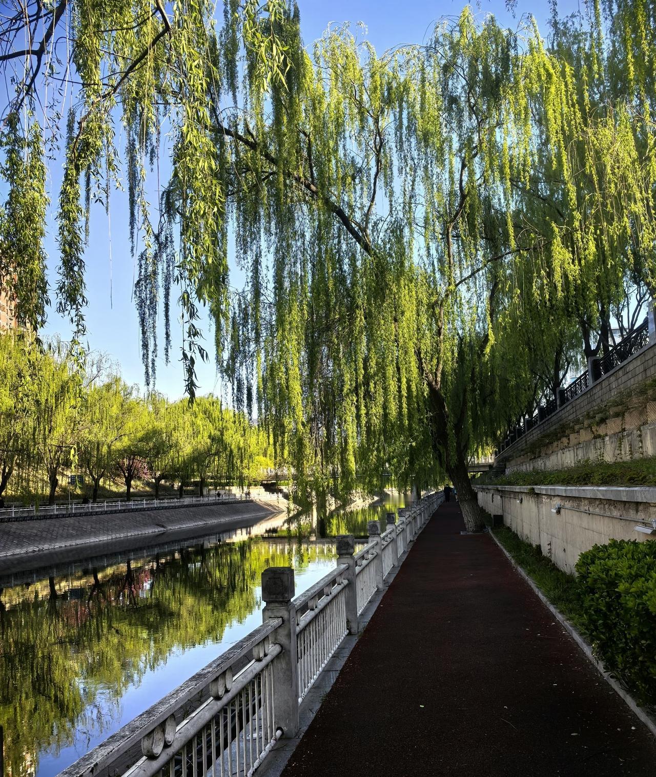 天气逐渐转热，春天来了，跑步的时间也应该调整了。这个时间跑才是最为明智的选择。