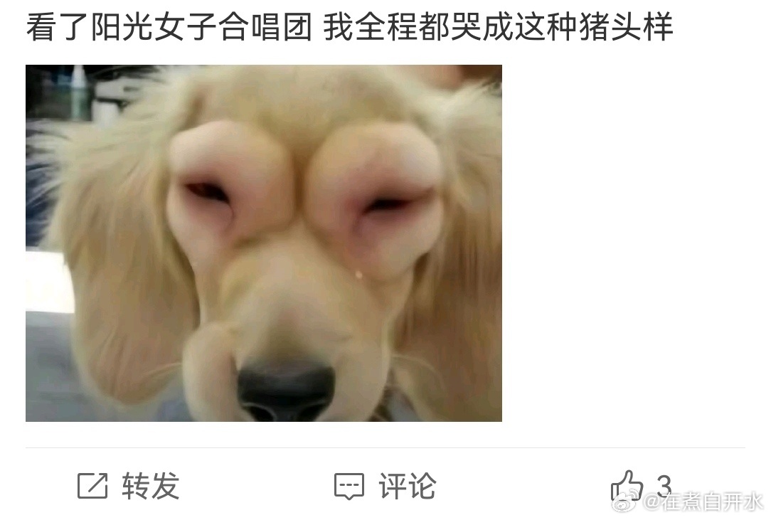 阳光女子合唱团点映口碑电影《阳光女子合唱团》首轮点映口碑超赞，陈意涵送走女儿的哭