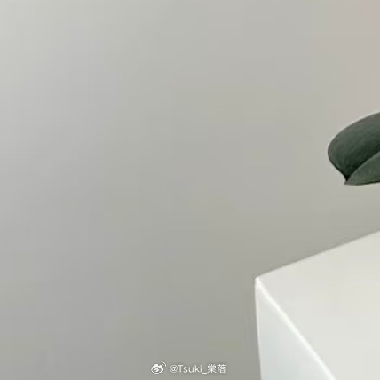 蝴蝶兰种植方法：1. 光照柔和：蝴蝶兰喜明亮的散射光，忌强光直射。适合放在朝东或