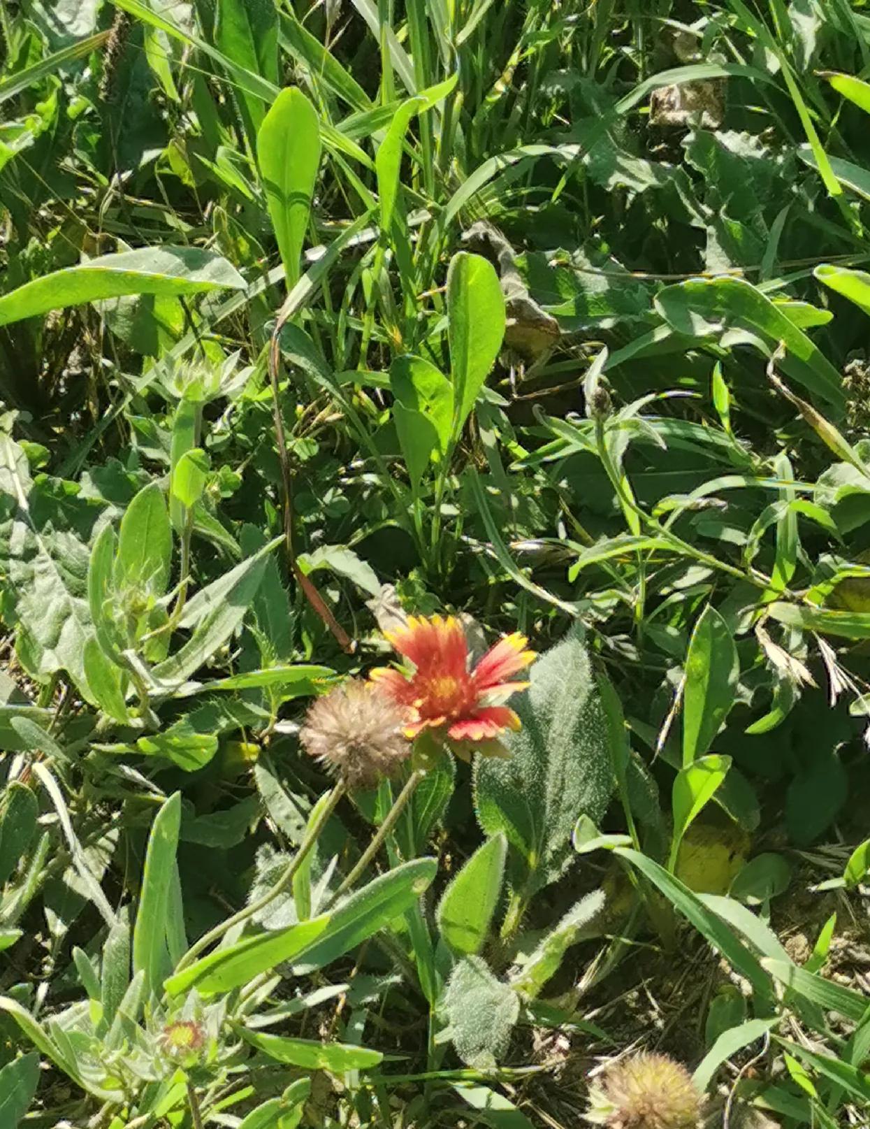 夏日生活打卡季
