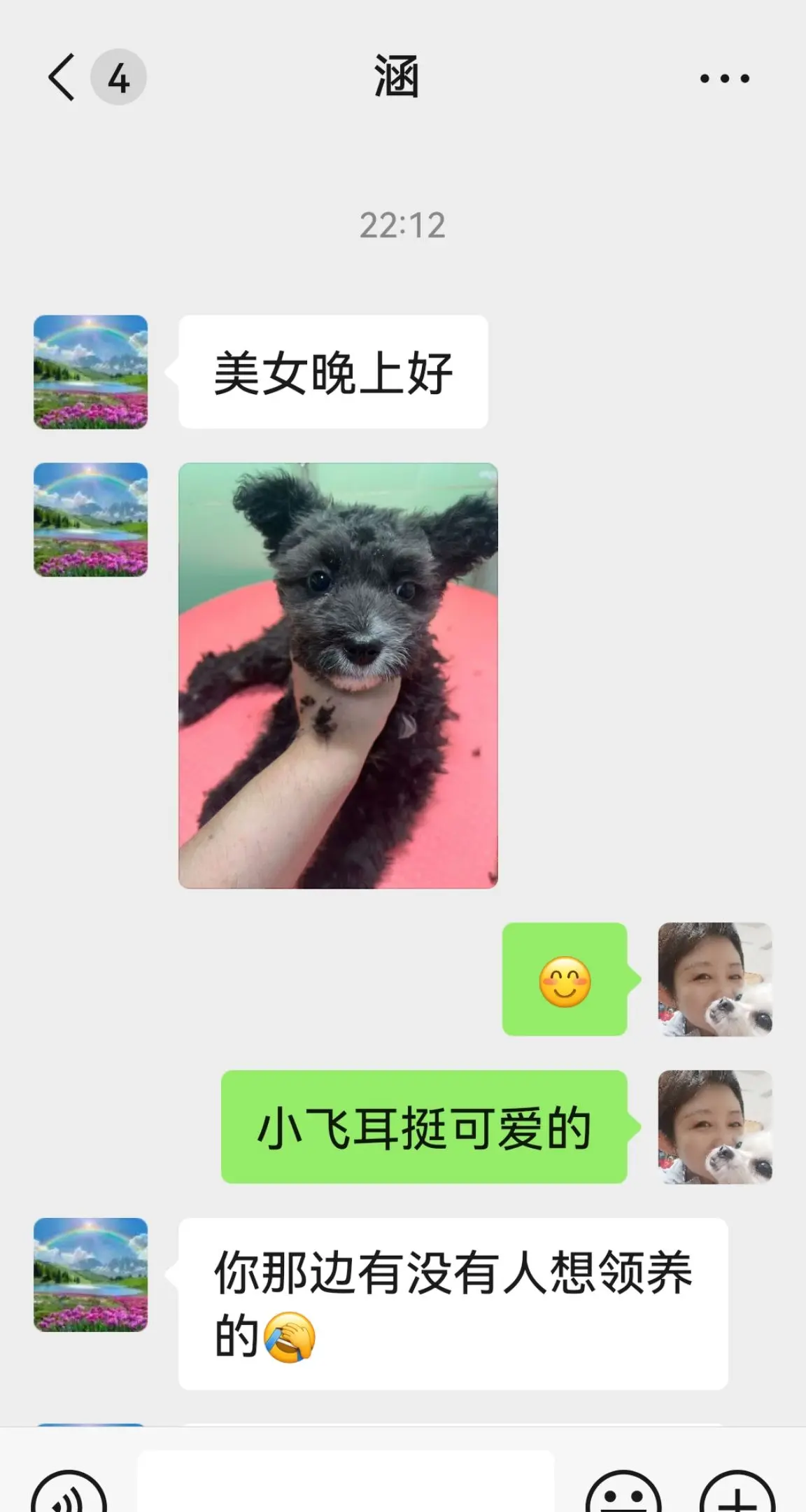 小型犬（小公犬）二个月左右的流二代，寻找靠谱的爱心家庭领养，一定科学喂...