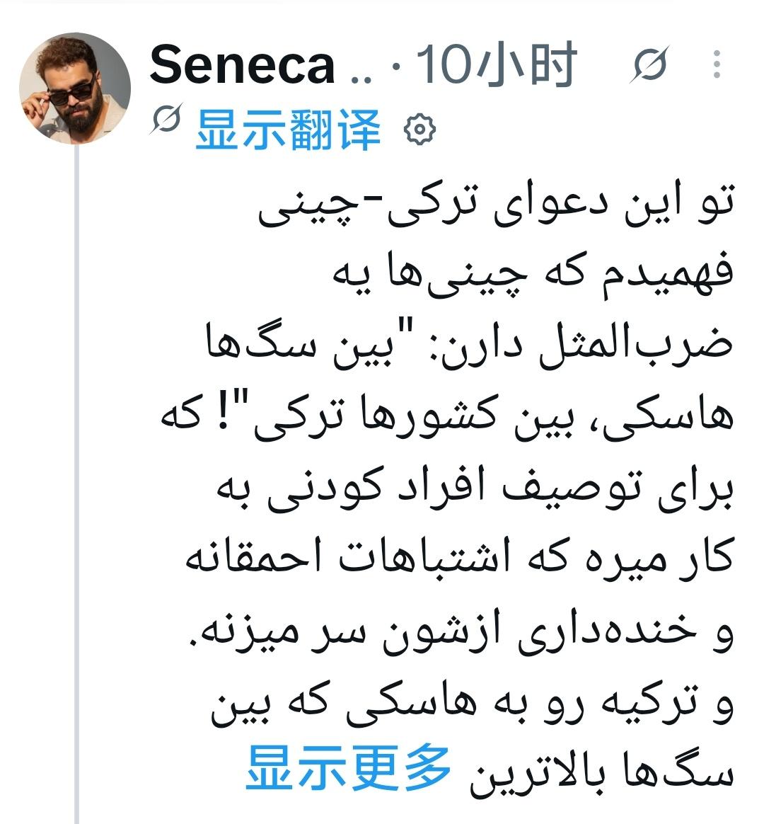 中国和土耳其网民大战，第三方波斯老哥进来说，发现中国一句谚语，狗中xxx，国中x