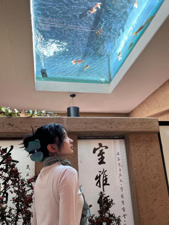 大理寂照庵plog（附攻略｜一箪食里见苍山