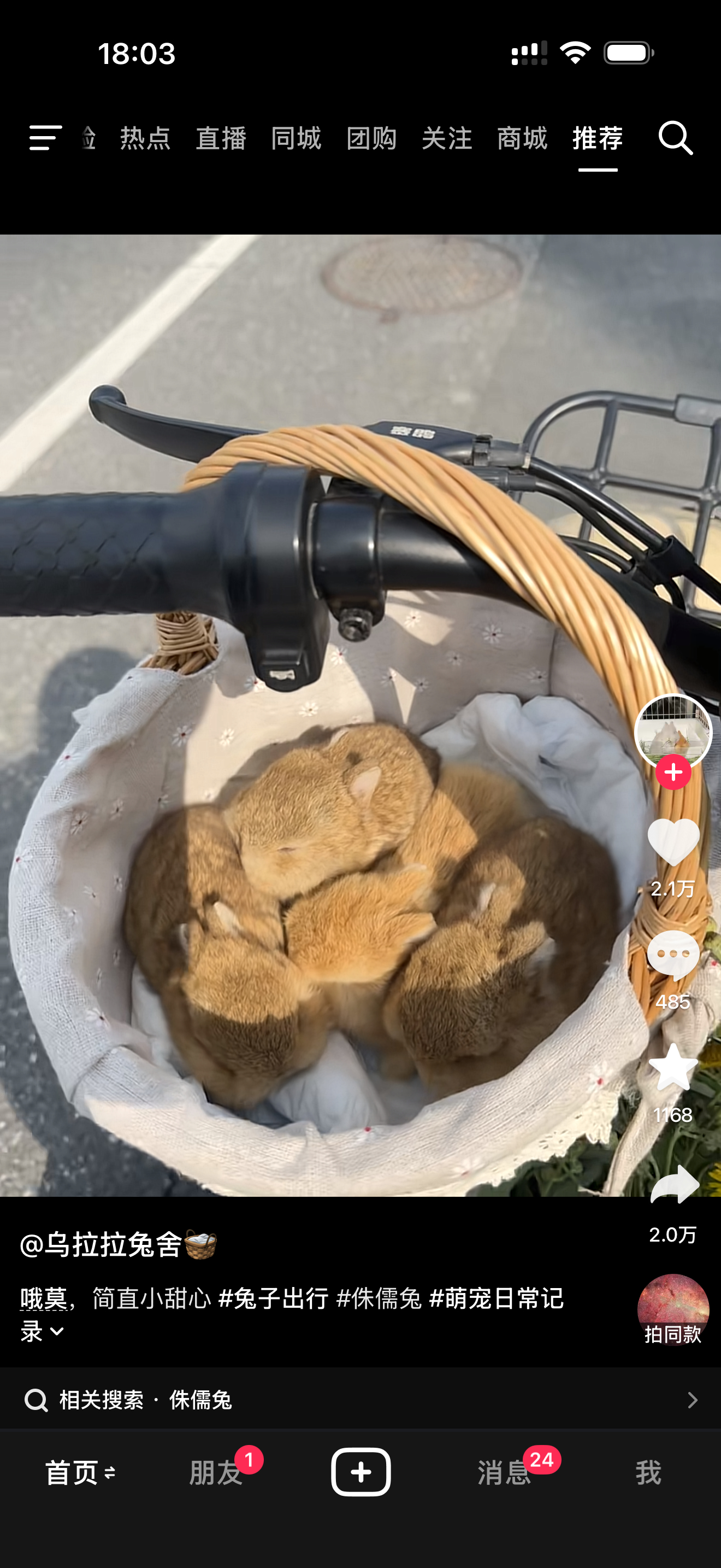 一窝刘铮 
